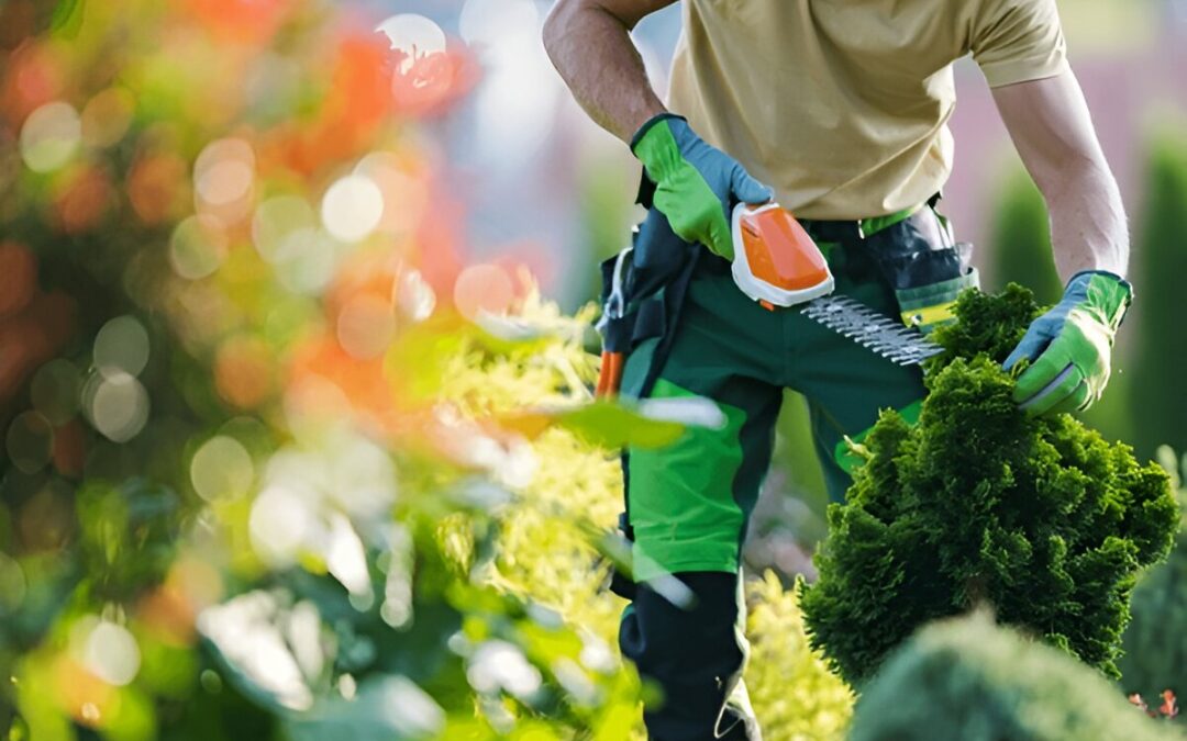 What is the Best Garden Power Tool Company?